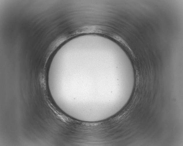 X0000056320882200508260848
