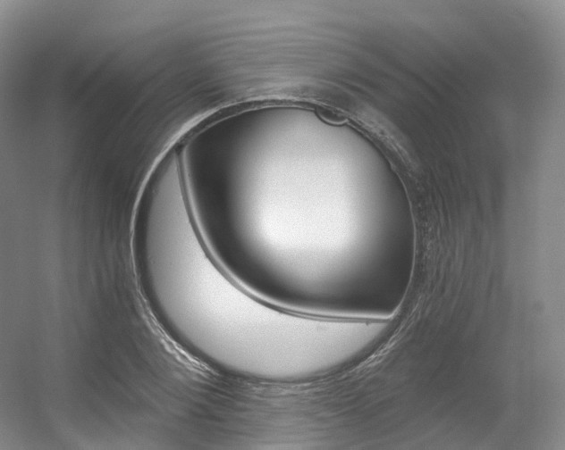 X0000056320884200508260848
