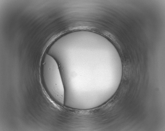X0000056320890200508260848