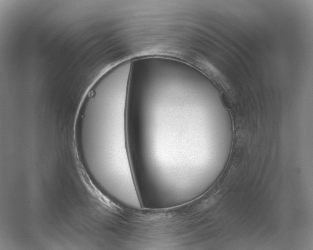 X0000056320892200508260848