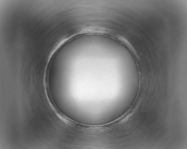 X0000056320893200508260848