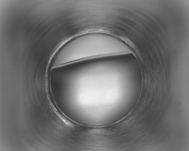 X0000056320894200508260848