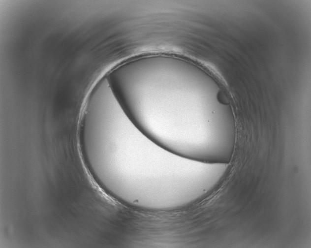 X0000056320895200508260848