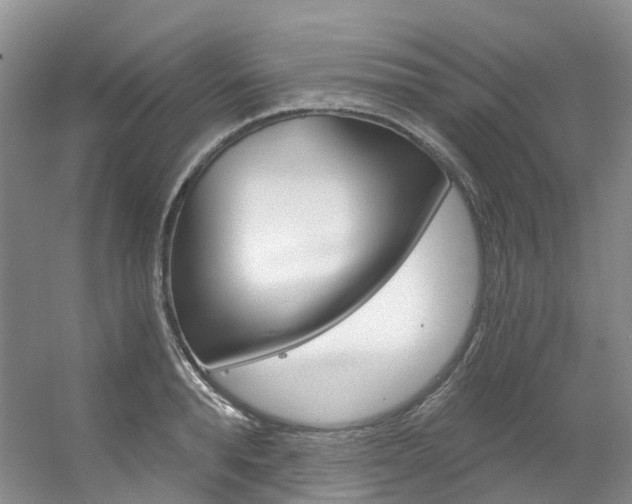 X0000056320896200508260848