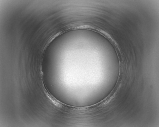 X0000056320897200508260848