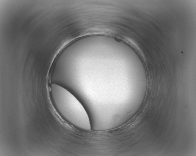 X0000056320899200508260848