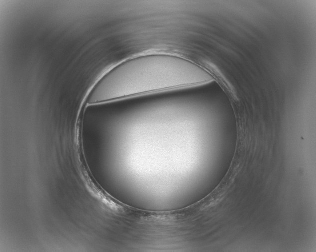 X0000056320900200508260848