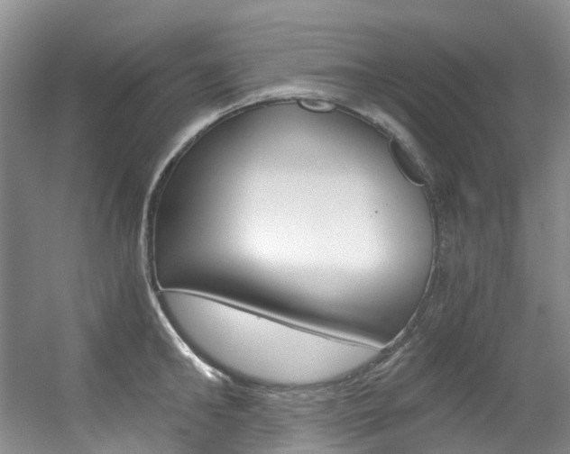 X0000056320902200508260848