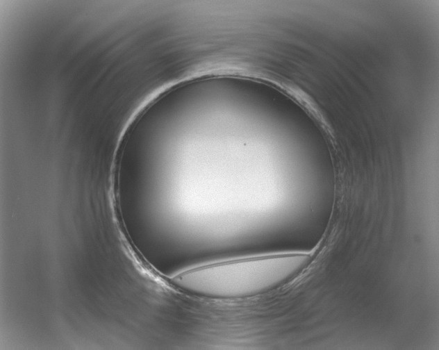 X0000056320904200508260848