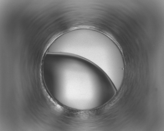 X0000056320906200508260848