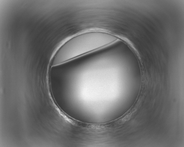 X0000056320910200508260848