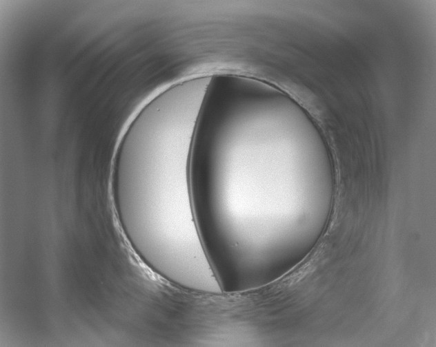 X0000056320912200508260847