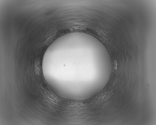 X0000056320915200508260847