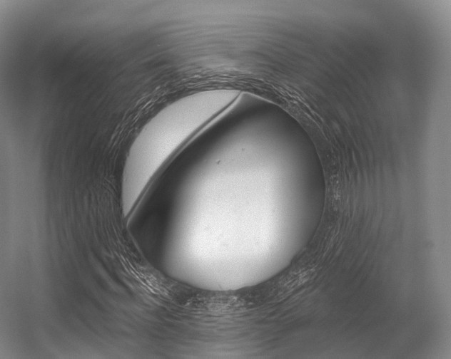X0000056320916200508260847