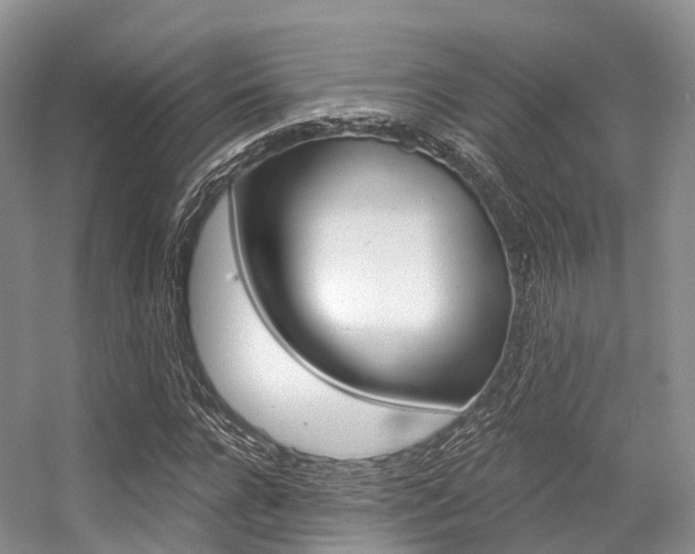 X0000056320920200508260847