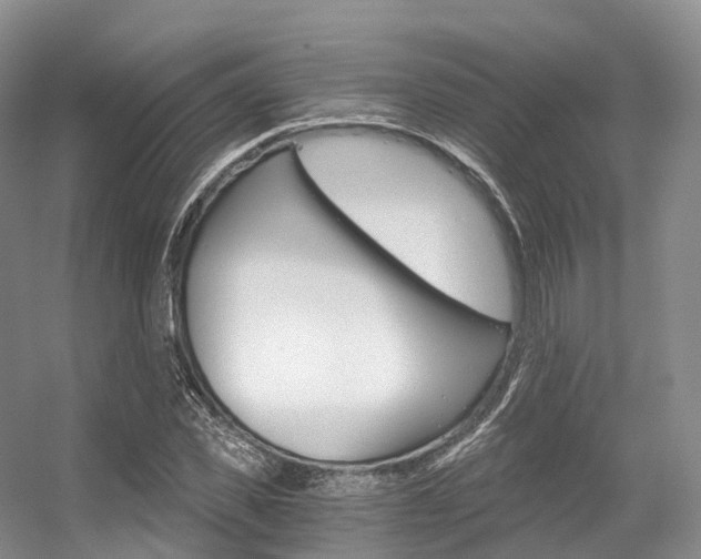 X0000056320925200508260847