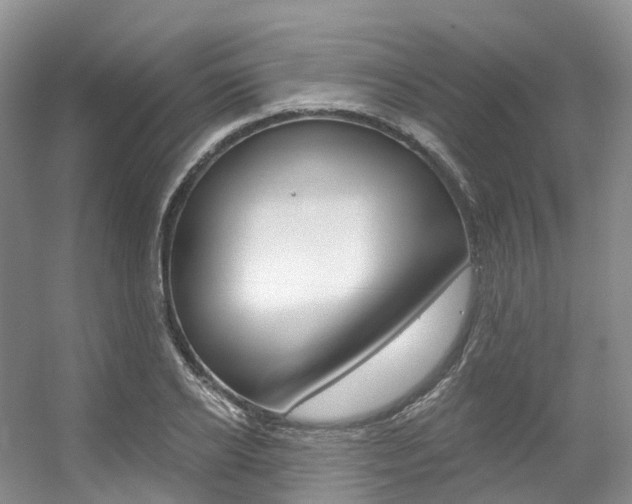 X0000056320934200508260847