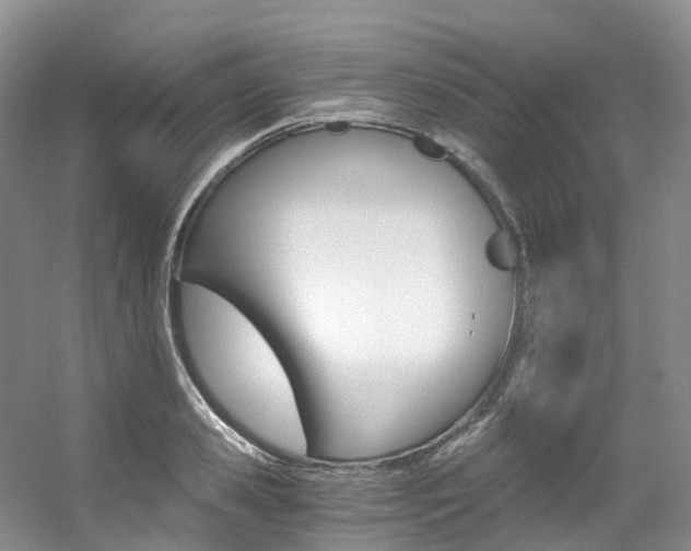 X0000056320941200508260847