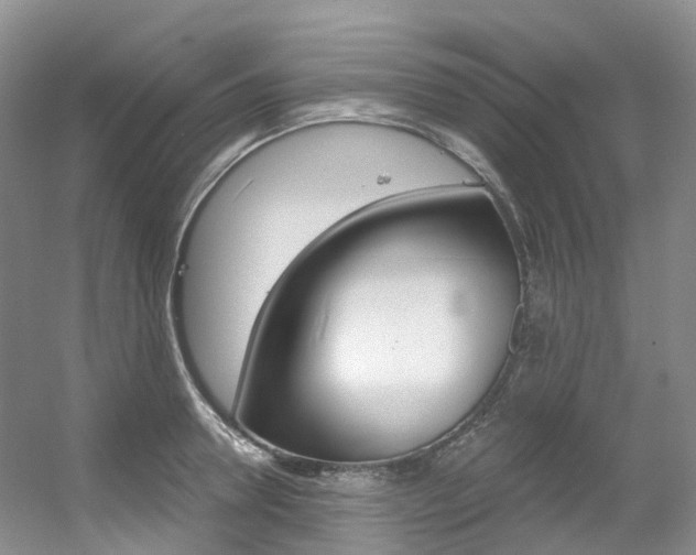 X0000056320946200508260847