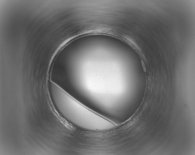 X0000056320948200508260847