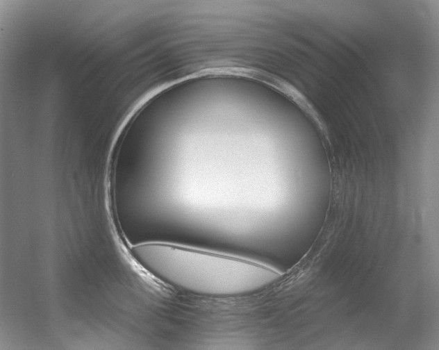 X0000056320955200508260847