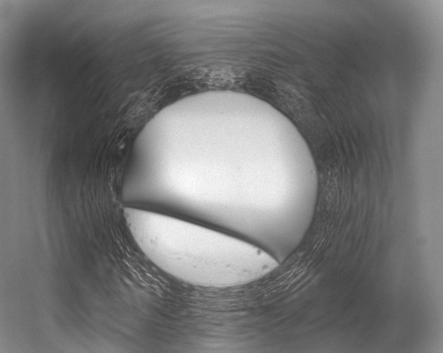 X0000056320962200508260847
