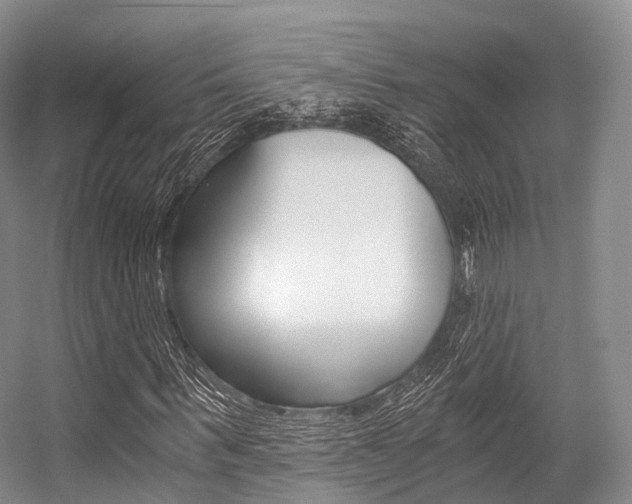 X0000056320963200508260847