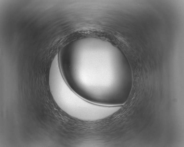 X0000056320965200508260847