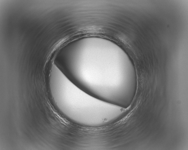 X0000056320970200508260846