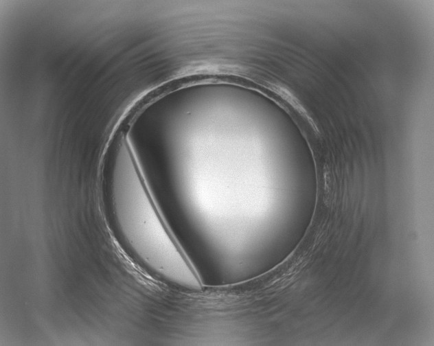 X0000056320972200508260846