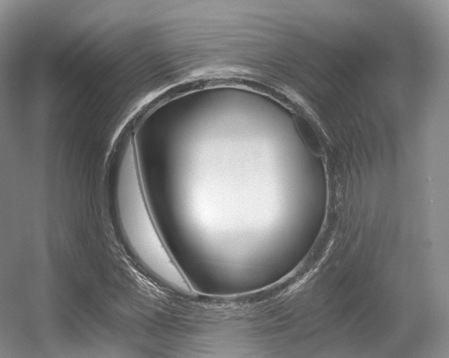 X0000056320973200508260846