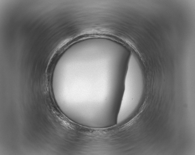 X0000056320974200508260846