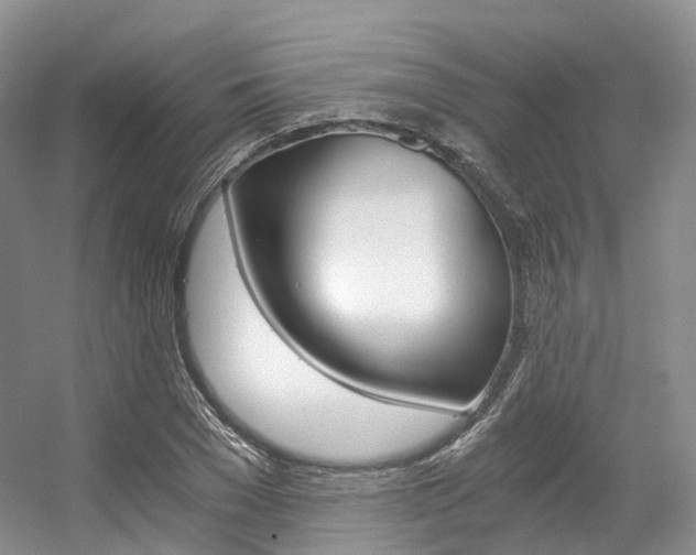 X0000056320977200508260846