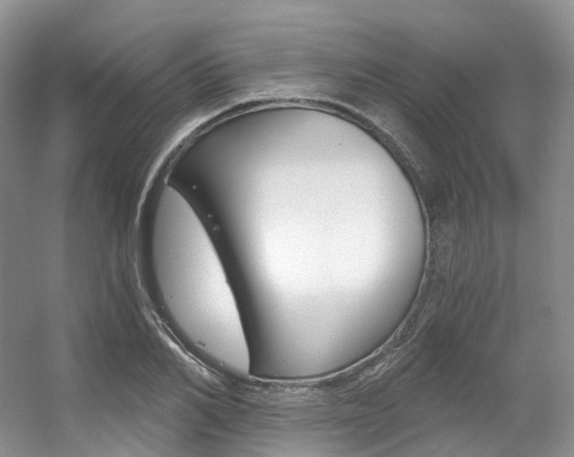 X0000056320982200508260846