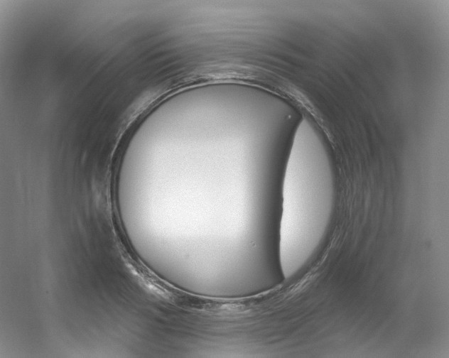 X0000056320986200508260846