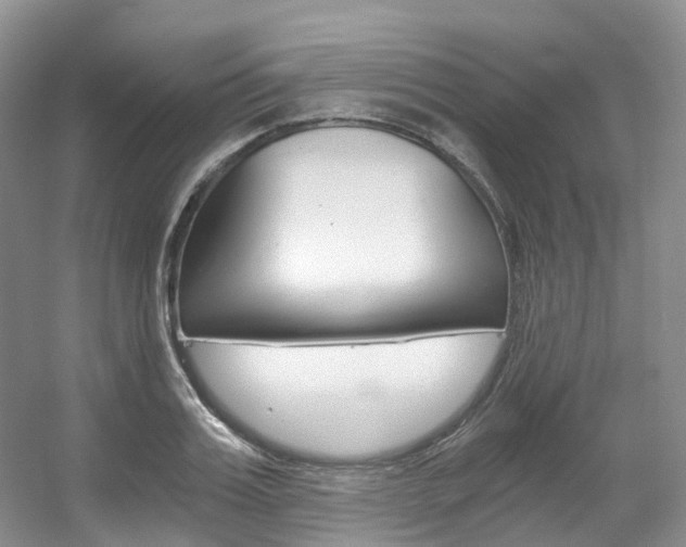 X0000056320987200508260846