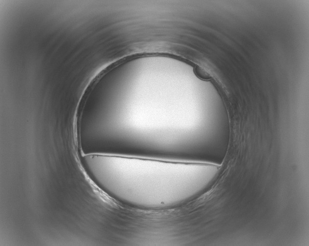 X0000056320988200508260846