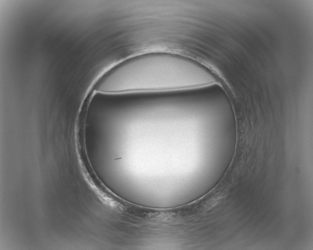 X0000056320991200508260846
