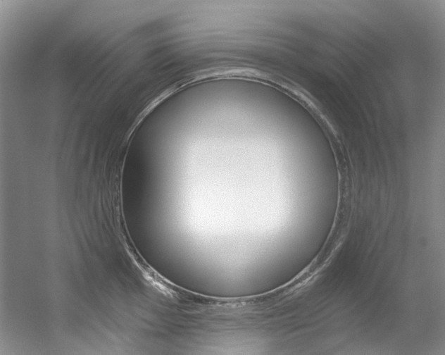 X0000056321001200508260846