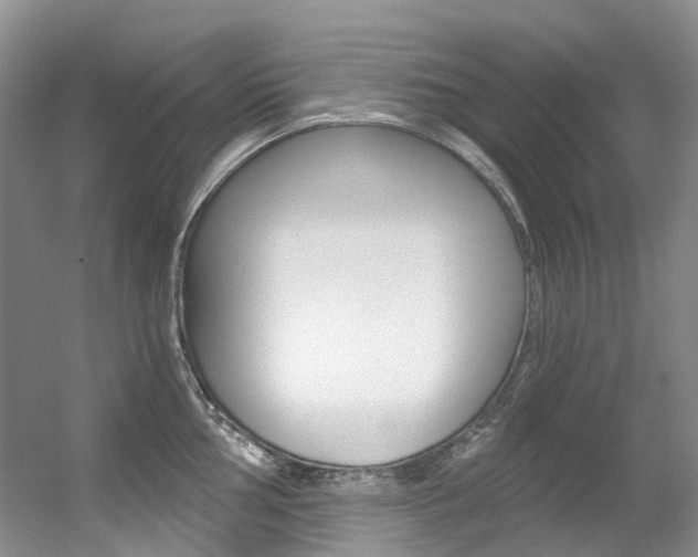 X0000056321002200508260846