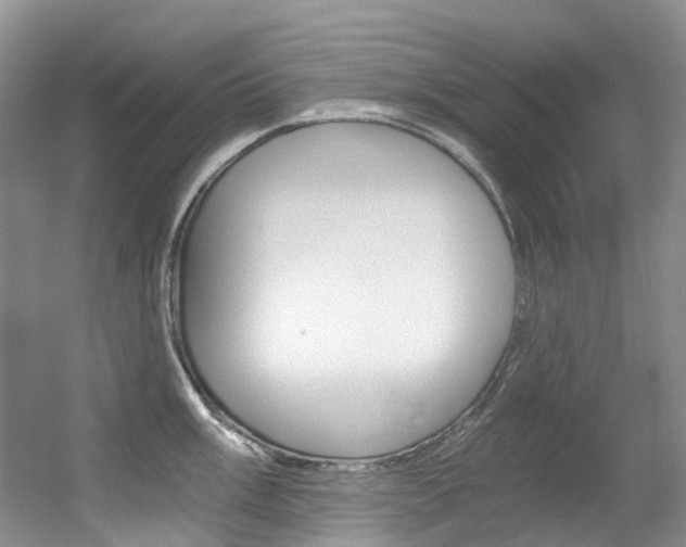 X0000056321003200508260846