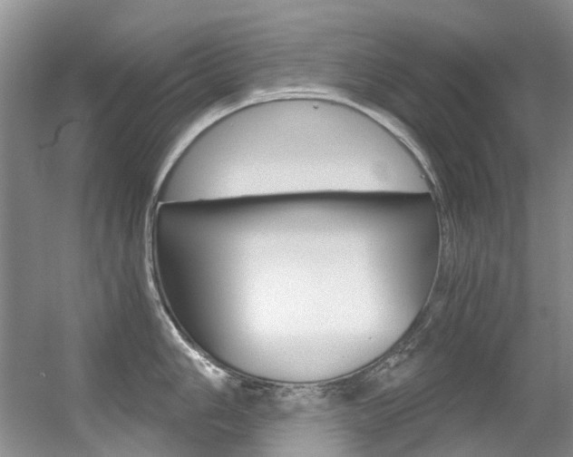 X0000056321006200508260846