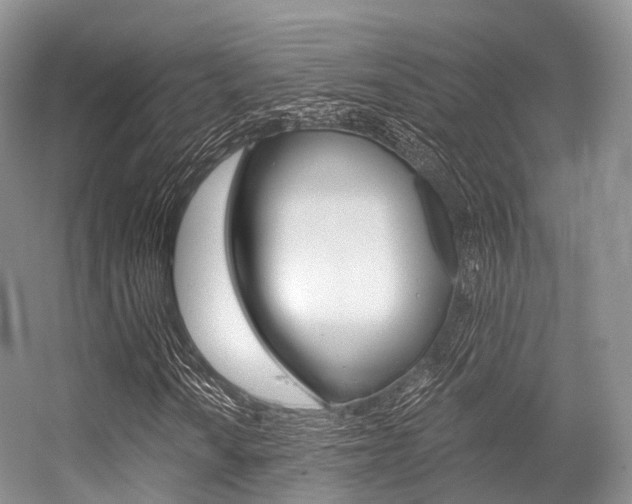 X0000056321010200508260845