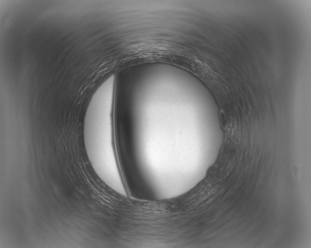 X0000056321012200508260845