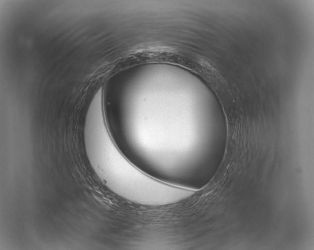 X0000056321014200508260845