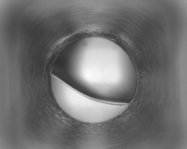 X0000056321016200508260845
