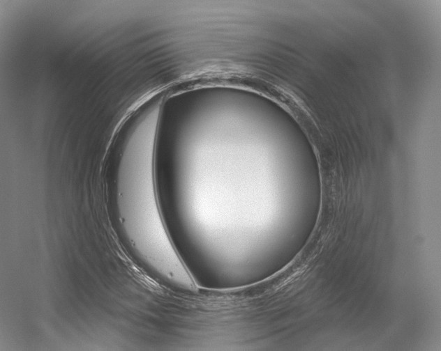 X0000056321018200508260845