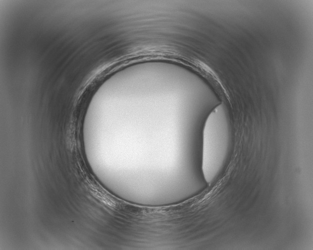 X0000056321019200508260845