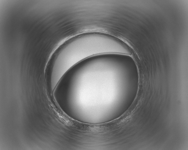 X0000056321022200508260845