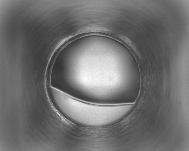 X0000056321024200508260845